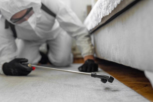 Professional Pest Control technician working in Hamilton County County, NY
